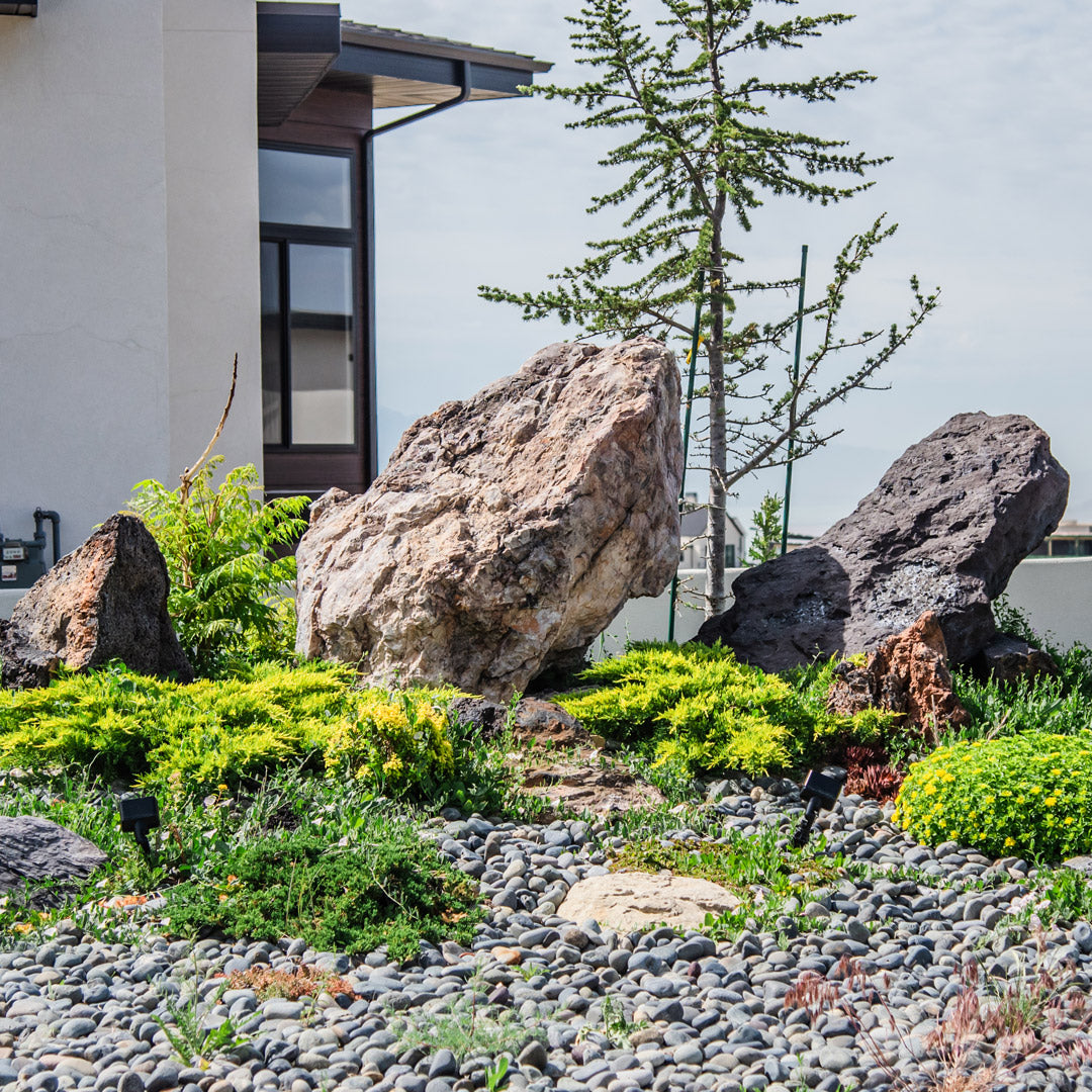 Garden with large stones and decorative ground cover