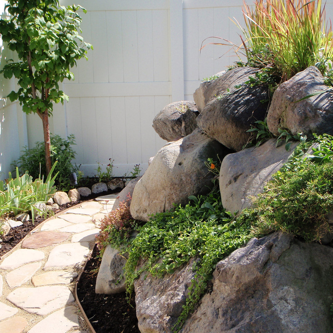 Boulders and plants in a garden setting with a stone pathway