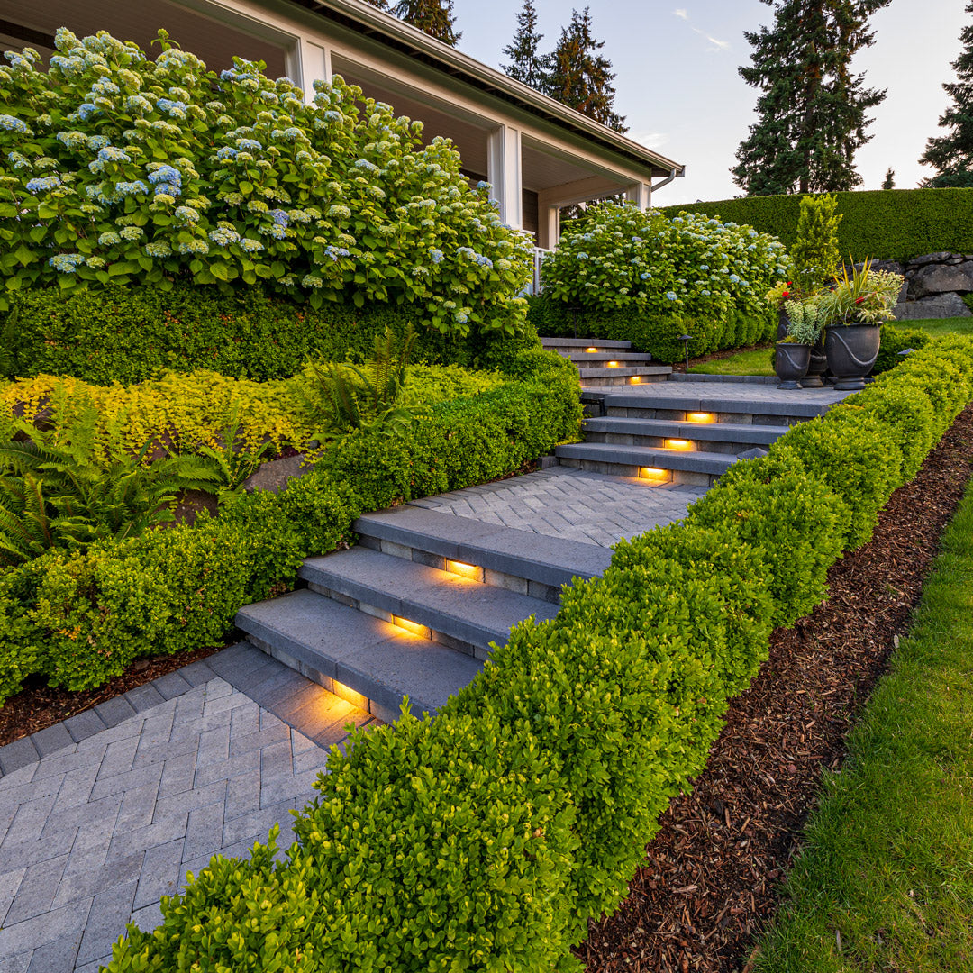 Step garden with well-maintained hedges and decorative lighting