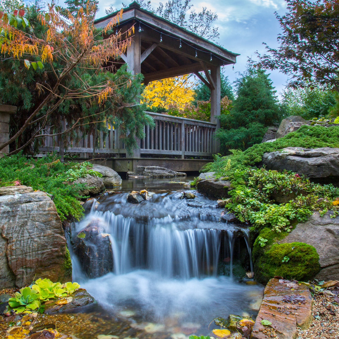Garden with a small waterfall and pond