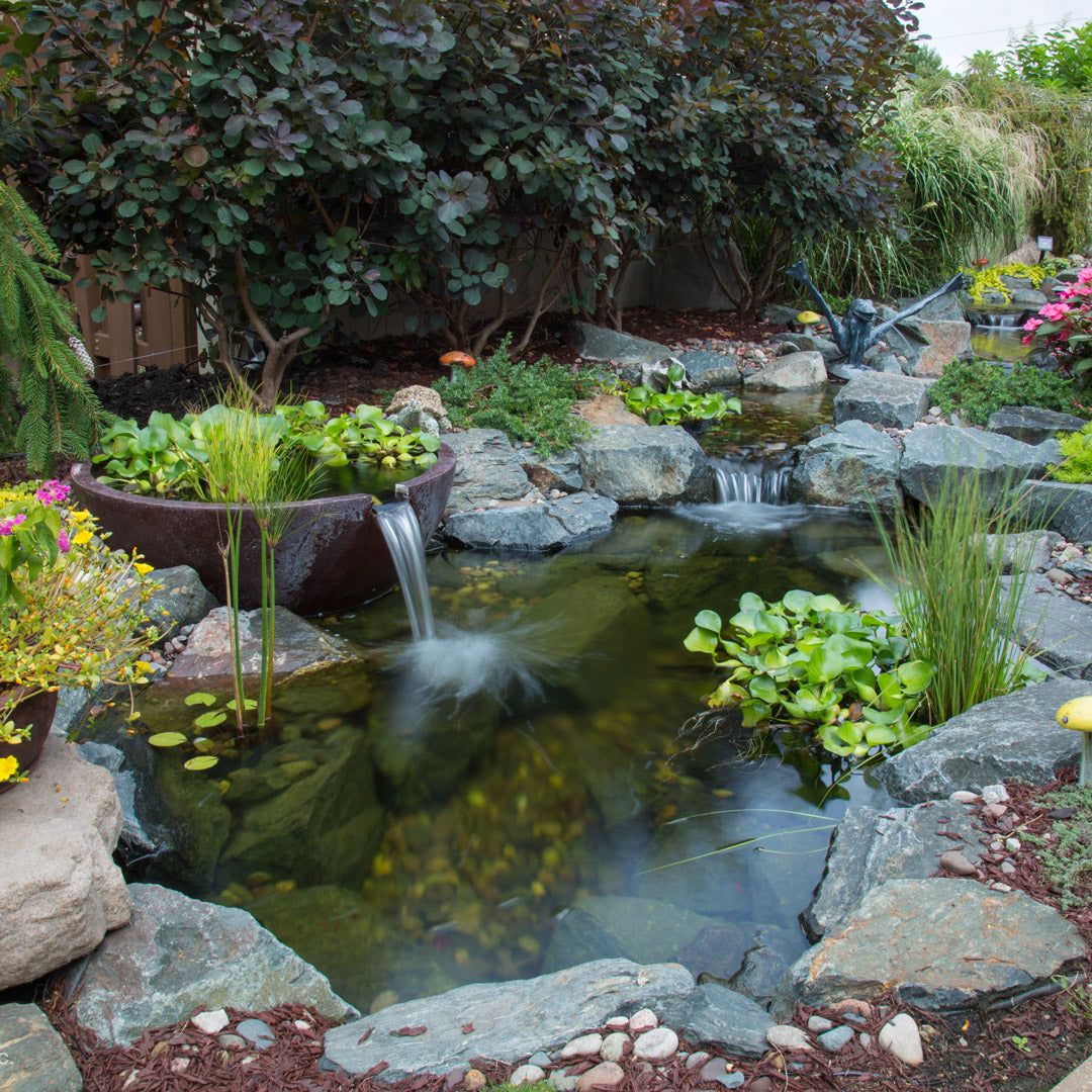 Small garden pond with water feature surrounded by rocks and plants