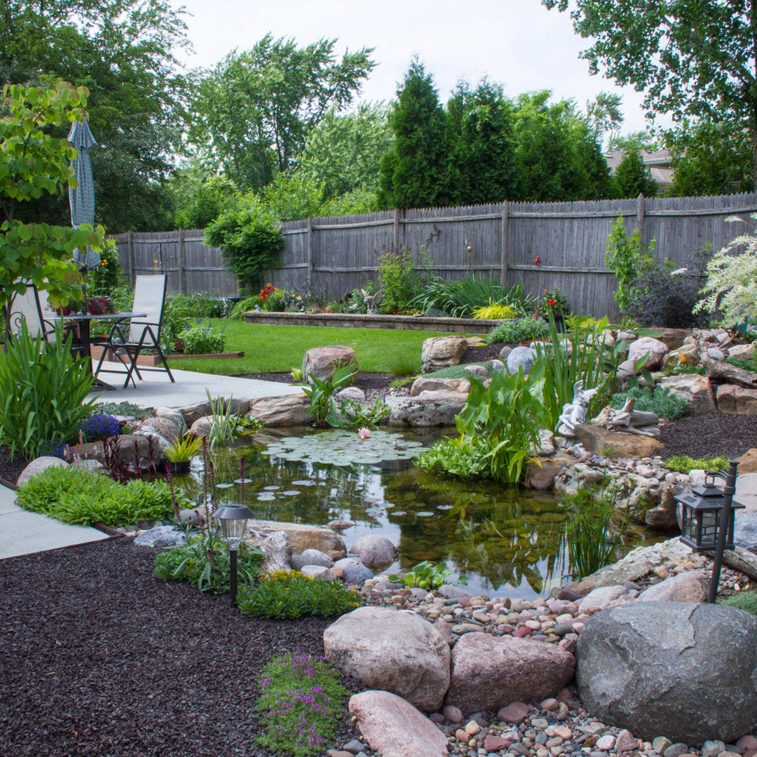 Backyard garden with a pond, stones, and greenery.
