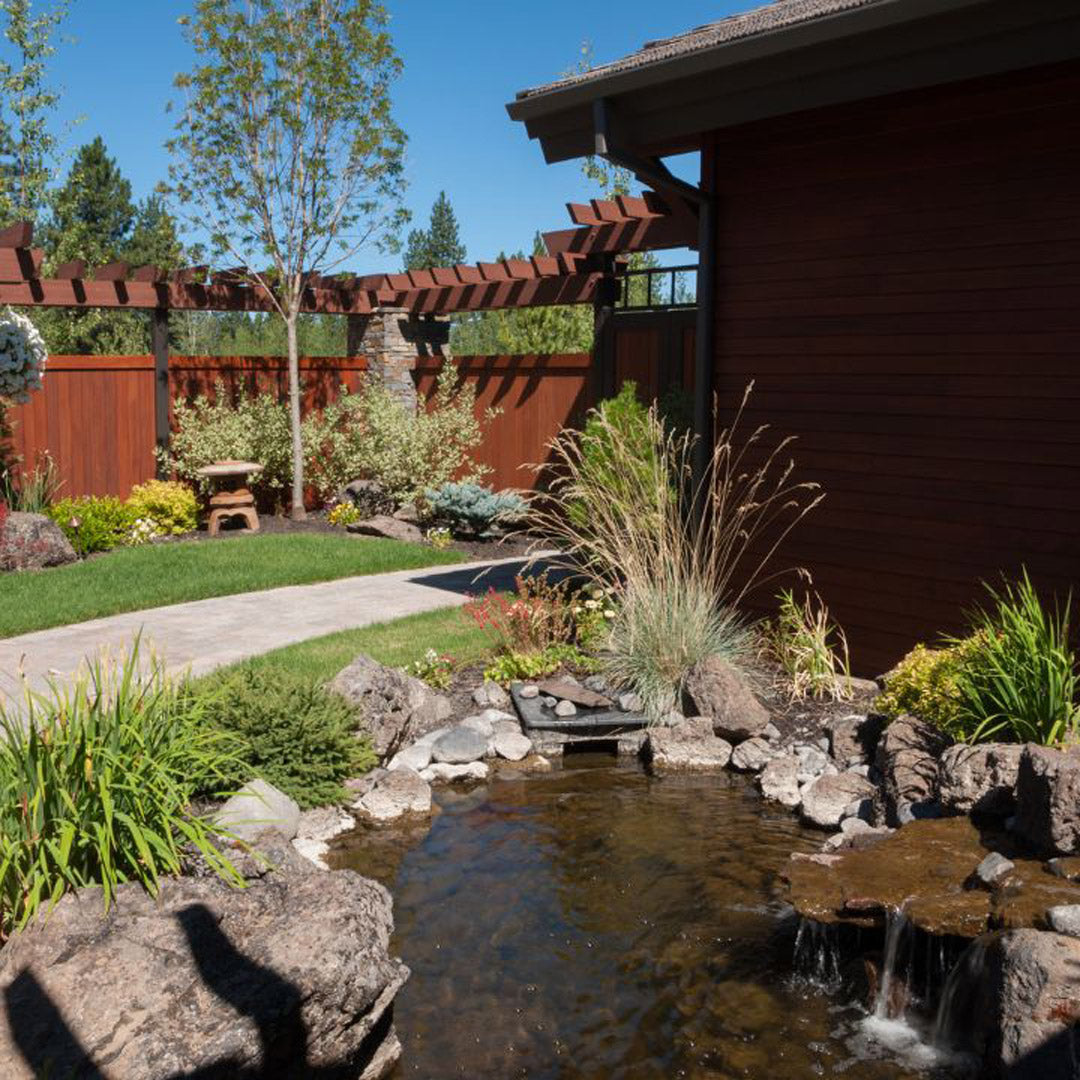 Backyard with a small pond and stones