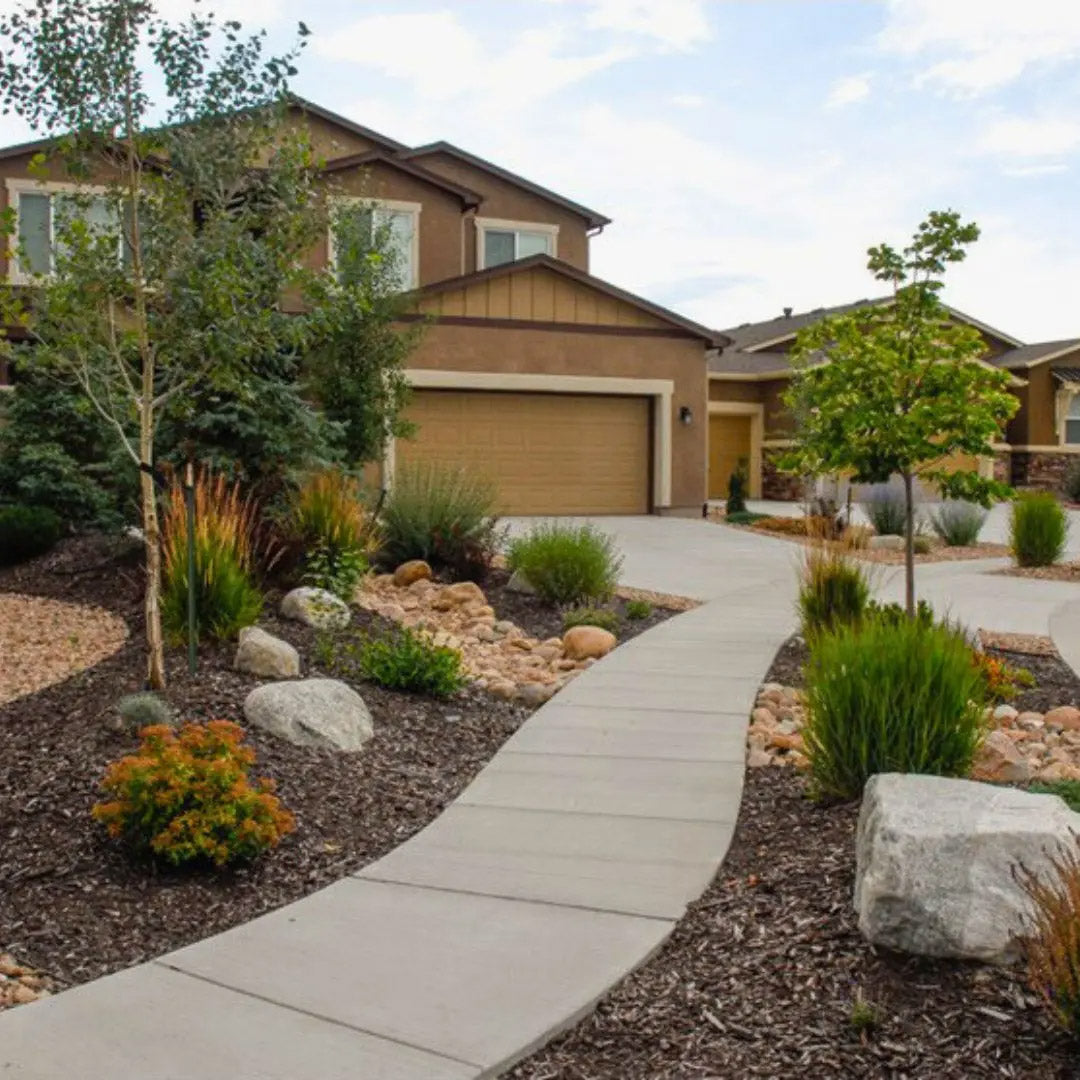 Neatly xeriscaped front yard