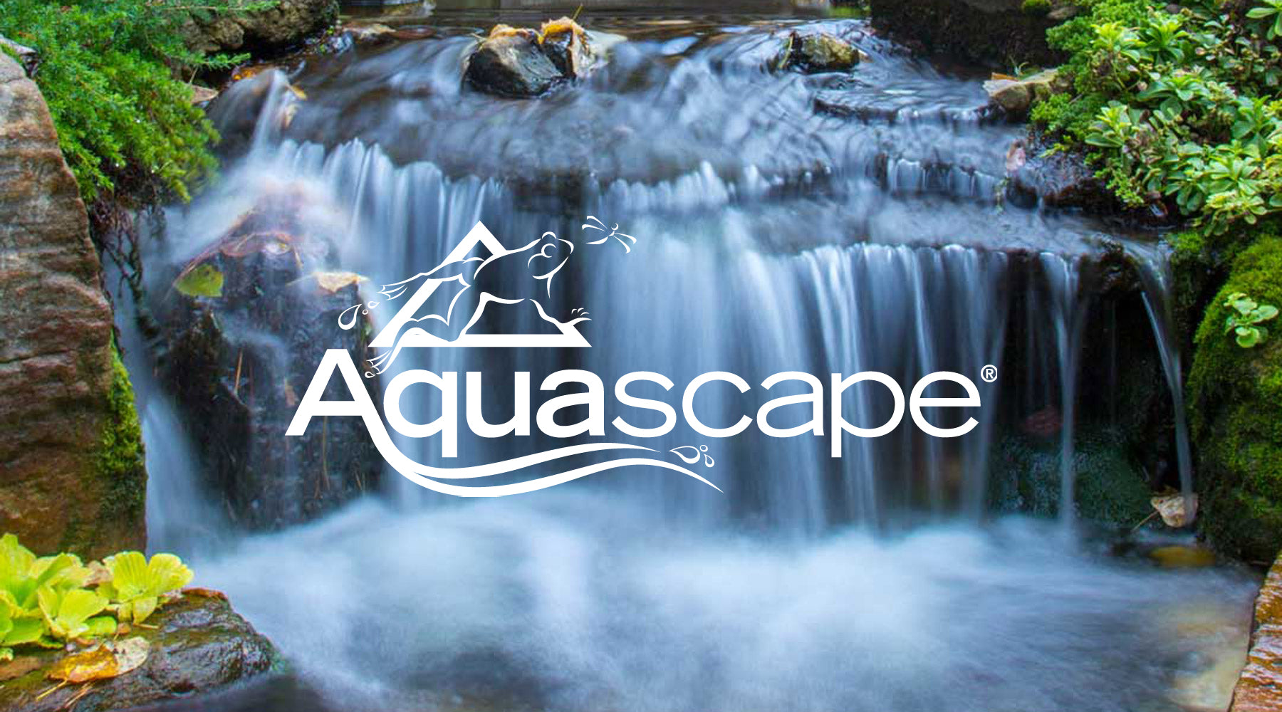 Aquascape