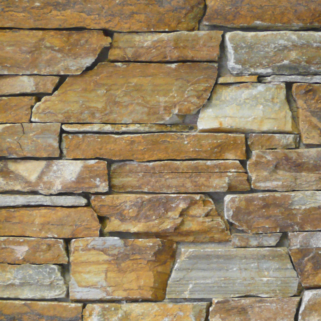 Autumn Gold – Oakley